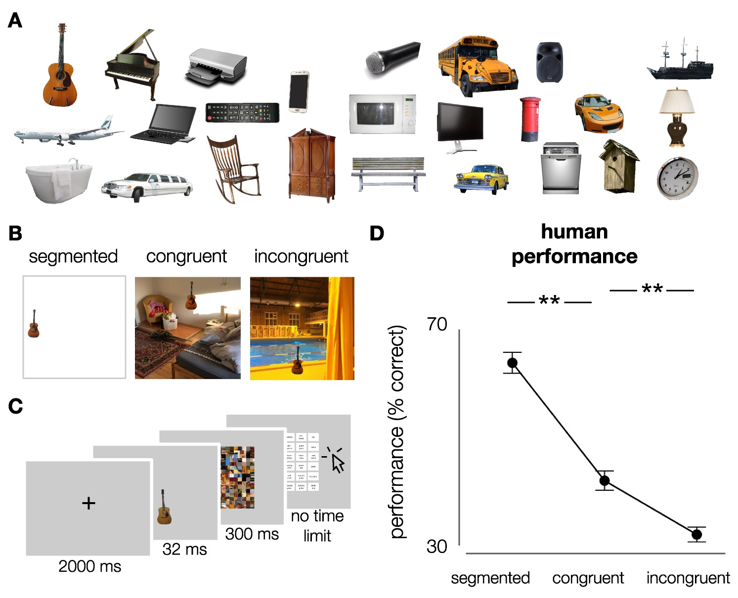 Stimuli and experimental design. A) Exemplars of the different object categories (cut-out objects from ImageNet validation set). 27 object categories were used in this experiment (subordinate level, based on ImageNet categories). In total, each category contained 10 exemplars. B) Stimuli were generated by placing the objects onto white, congruent and incongruent backgrounds (512*512 pixels, full-color). Backgrounds were sampled from the SUN2012 database (Xiao et al., 2010). For human participants, objects were downsized and placed in one of nine possible locations (3*3 grid). For DCNNs, objects were bigger and placed centrally. C) Participants performed on an object recognition task. At the beginning of each trial, a fixation-cross was presented in the center of the screen for 2000 ms, followed by an image. Images were presented in randomized sequence, for a duration of 32 ms, followed by a mask, presented for 300 ms. After the mask, participants had to indicate which object they saw, by clicking on one of 27 options on screen using the mouse. After 81 (\(1/3\)) and 162 (\(2/3\)) trials, there was a short break. D) Human performance (% correct) on the object recognition task. Participants performed best for segmented objects, followed by congruent and incongruent respectively. Error bars represent bootstrap 95% confidence intervals.